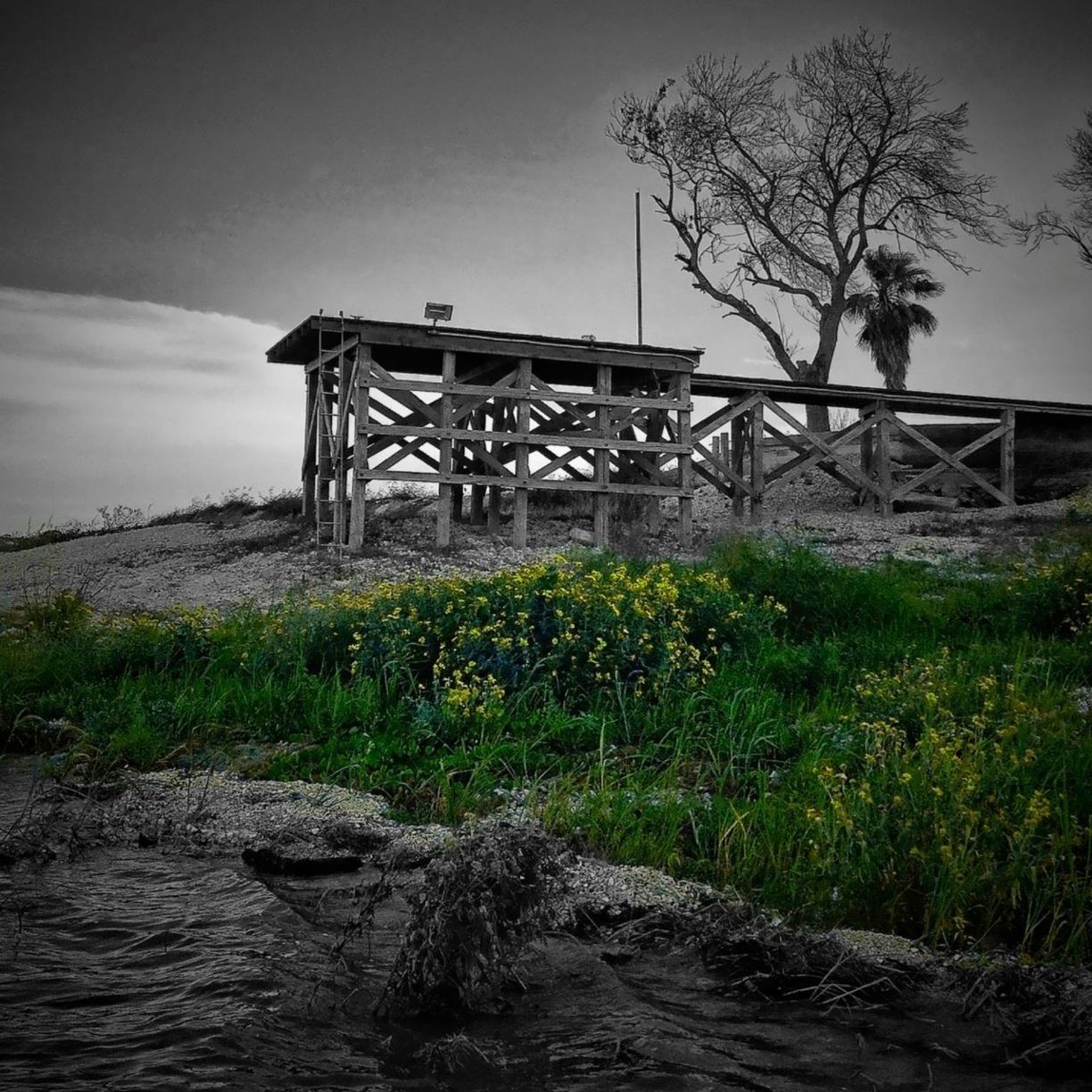 water, sky, grass, tranquility, built structure, tranquil scene, tree, nature, river, architecture, lake, scenics, no people, plant, beauty in nature, day, field, outdoors, waterfront, non-urban scene