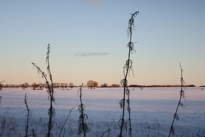 Scenic view of lake against sky during winter