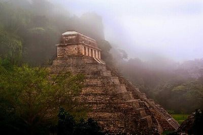 Road in foggy weather