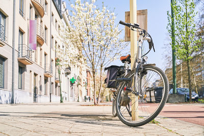 Bicycles on street