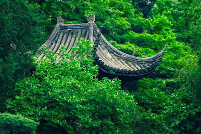 High angle view of traditional gazebo amidst trees in forest
