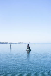 Sailboat sailing on sea against clear sky