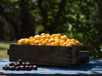 Close-up of fruits in crate