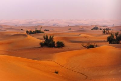 View of a desert