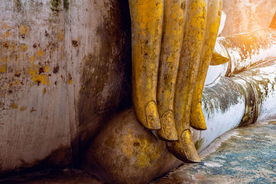 Close-up of yellow food against wall