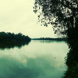 Reflection of trees in calm lake