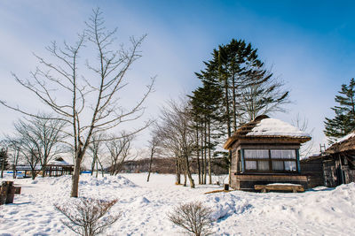 Bare trees on snow covered field against sky