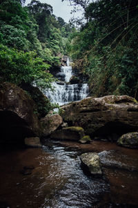 Stream flowing through rocks in forest