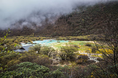 High angle view of lake along trees