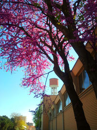 Low angle view of building