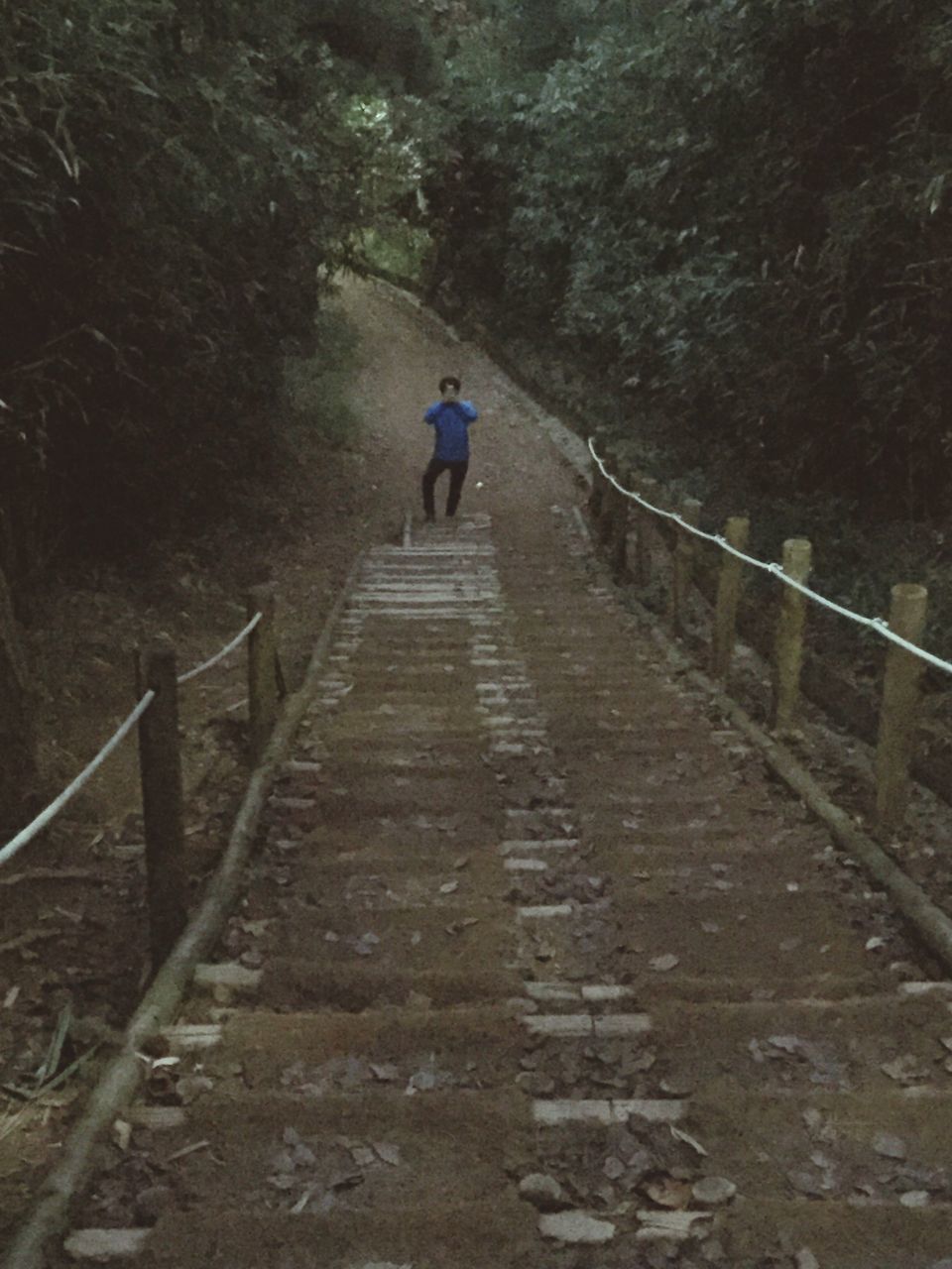 the way forward, walking, rear view, real people, steps, full length, outdoors, men, steps and staircases, tree, day, one person, nature, beauty in nature, people