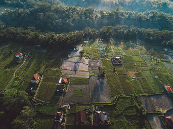 High angle view of cultivated land 