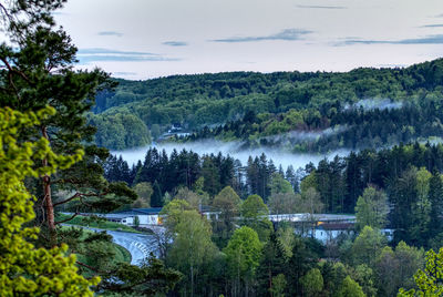 Scenic view of  fog in the valley 