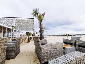 Potted plant on beach by sea against sky