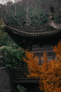 Trees and plants outside building