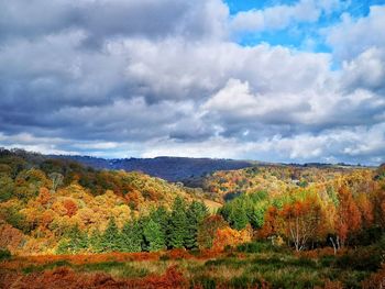 Scenic view of landscape against sky during autumn