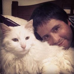 domestic animals