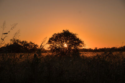 Silhouette trees on field against romantic sky at sunset