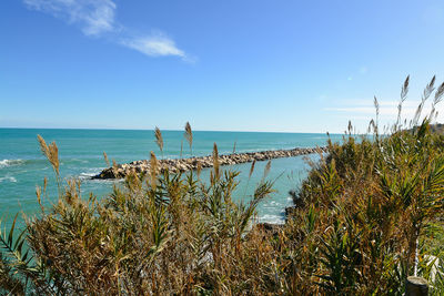 Scenic view of sea against blue sky