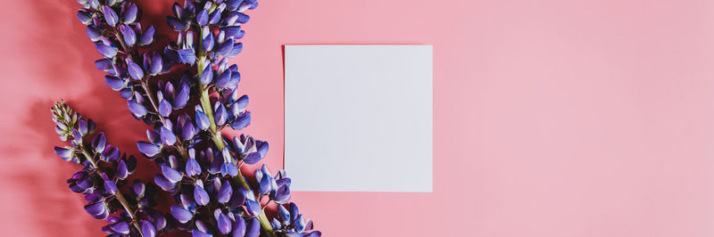 Close-up of purple flower hanging against wall