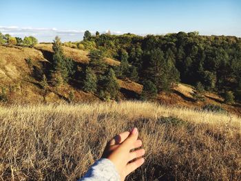 Cropped hand of woman reaching plants against sky