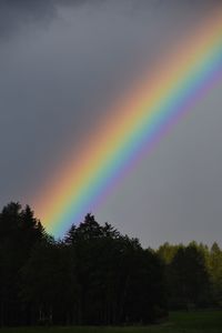 Low angle view of rainbow over trees against sky
