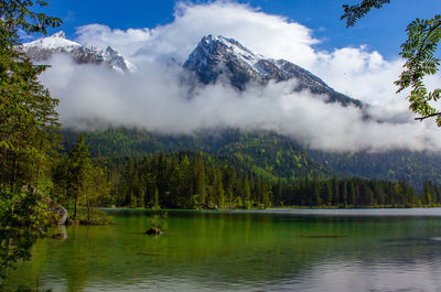 Scenic view of lake in forest against sky