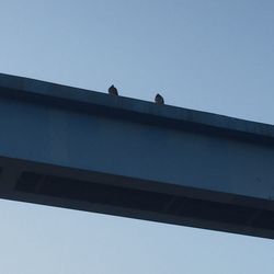 Low angle view of building against clear sky