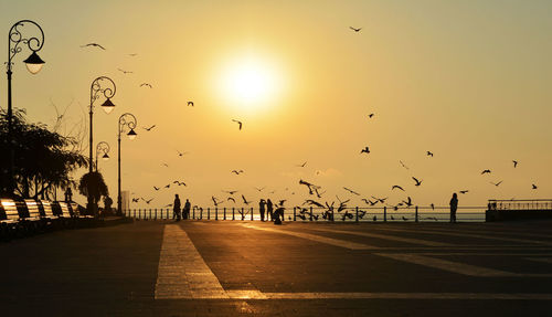 Seagulls flying over sea in city against clear sky