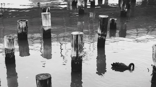 View of wooden post in water