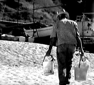 Close-up of plant against white background