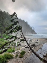 Magic on the oregon coast