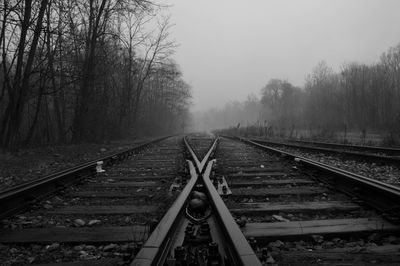 Vanishing railroad tracks amidst bare trees during foggy weather