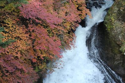 Scenic view of waterfall