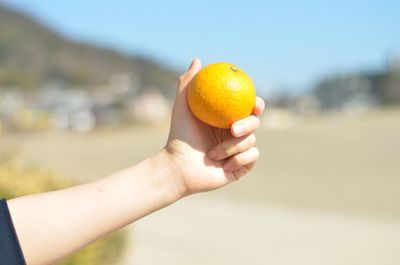 Close-up of cropped hand holding cake