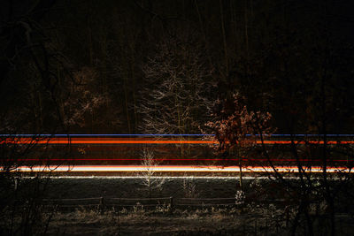 Light trails on tree at night