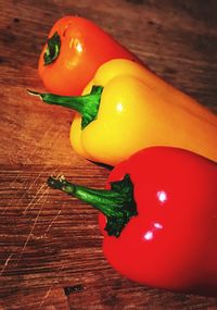 Close-up of multi colored tomatoes