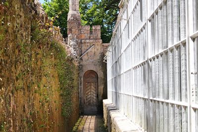 Narrow walkway along buildings