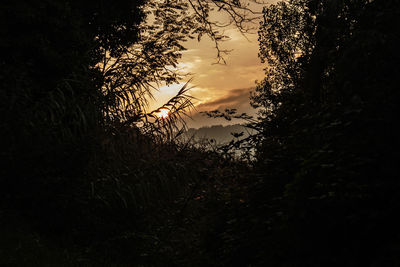 Silhouette of trees against sky at sunset