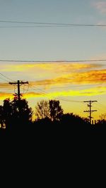 Silhouette of trees at sunset