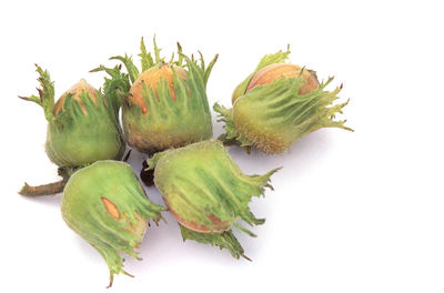 Close-up of fruits against white background