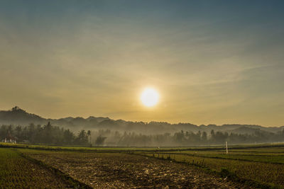 Scenic view of field against sky during sunset