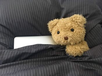 Close-up of stuffed toy