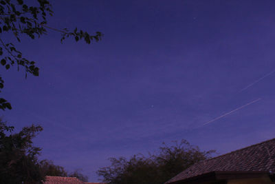 Low angle view of silhouette trees against sky at night