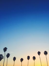 Low angle view of palm trees against clear sky