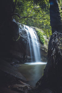 View of waterfall in forest