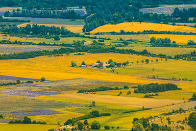 Scenic view of agricultural field