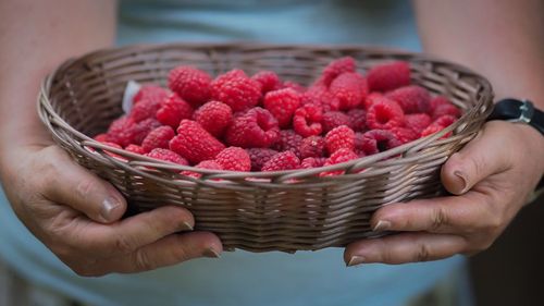Midsection of person holding raspberries in basket