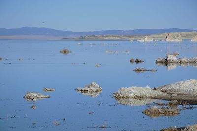 Scenic view of lake against clear sky