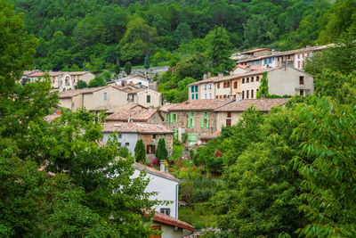 Houses by trees and house in village
